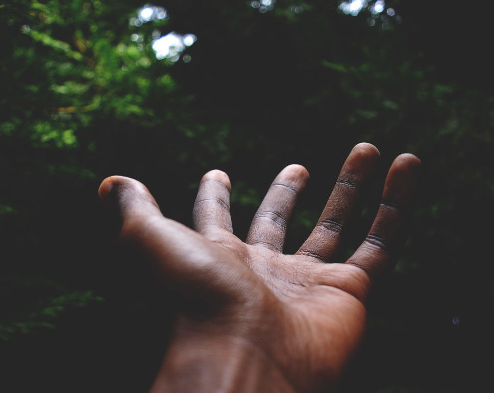 Black man's hands in the forest
